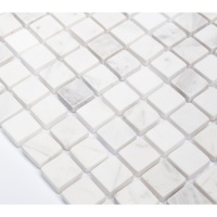 Мозаика из мрамора Vivacer (Вивасер) SPT017