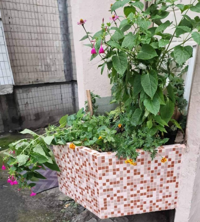 R-MOS A878582 розовый на сетке Stella di Mare