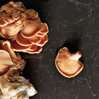 Caesarstone 5003 Piatra Grey Caesarstone 5003 Piatra Grey