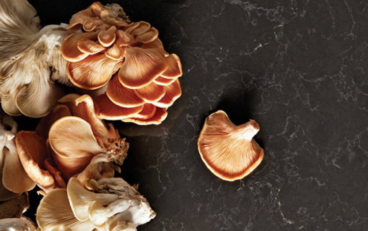 Caesarstone 5003 Piatra Grey