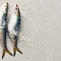 Caesarstone 5110 Alpine Mist