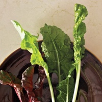 Caesarstone 5220 Dreamy Marfil