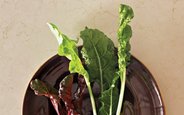 Caesarstone 5220 Dreamy Marfil