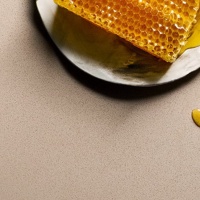 Caesarstone 2230 Linen