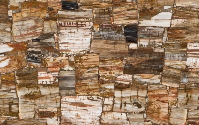 Caesarstone 8331 Petrified Wood Classic