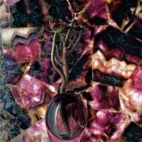 Caesarstone 8551 Amethyst