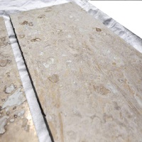 Плитка из травертина Light Filled and Honed 1,2х30,5х45,7 см, бежевая матовая заполненная шлифованная Standart 2-nd ch. Плитка из травертина Light Filled and Honed 1,2х30,5х45,7 см, бежевая матовая заполненная шлифованная Standart 2-nd ch.