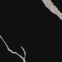 Avant Quartz 7600 Калакатта ле Нор Avant Quartz 7600 Калакатта ле Нор