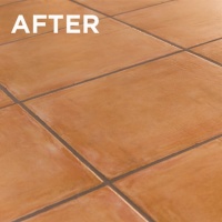 Очищувач Booster (лужний) (1л) TENAX Очищувач Booster (лужний) (1л) TENAX