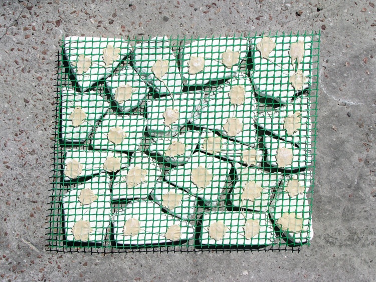 Брекчія мармурова на сітці, бежева 20мм