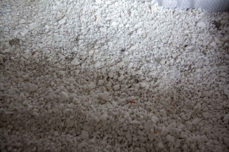 Мармурова крихта біла