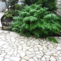 Брекчия мраморная без сетки, бежевая 20мм