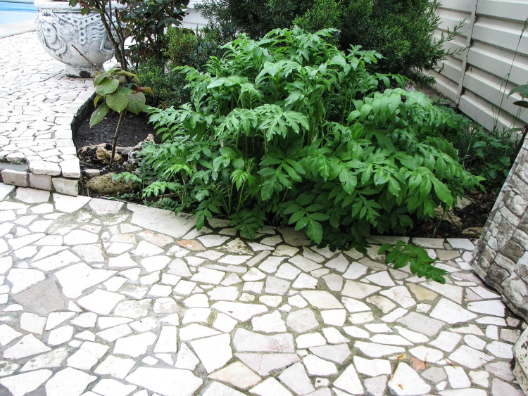 Брекчия мраморная без сетки, бежевая 20мм