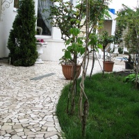 Брекчия мраморная без сетки, бежевая 20мм