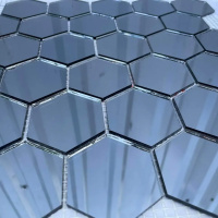 Мозаїка дзеркальна DecorStoneHub Zs-hex-G графітова 304х303 мм шестикутник для оформлення камінів Мозаїка дзеркальна DecorStoneHub Zs-hex-G графітова 304х303 мм шестикутник для оформлення камінів