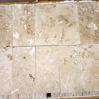 Плитка з травертину Light Filled and Honed 1,2х20,3х40,6 см, бежева матова заповнена шліфована Standart 2-nd ch. Плитка з травертину Light Filled and Honed 1,2х20,3х40,6 см, бежева матова заповнена шліфована Standart 2-nd ch.