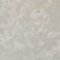 Caesarstone 4043 Primordia