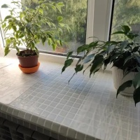 Скляна мозаїка MK25101 White