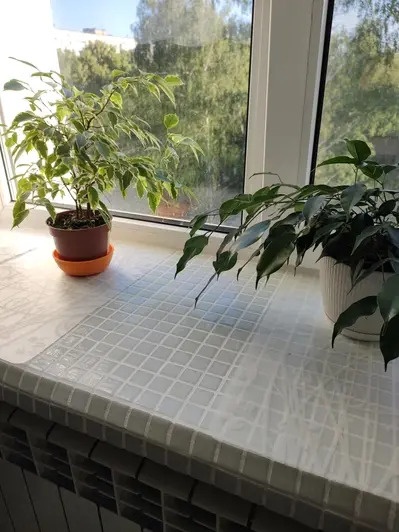 Скляна мозаїка MK25101 White