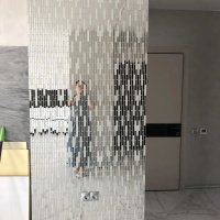 Мозаїка дзеркальна DecorStoneHub Zs-stik-ZS срібляста з сатином 338х320 мм стік для коридору та ніш Мозаїка дзеркальна DecorStoneHub Zs-stik-ZS срібляста з сатином 338х320 мм стік для коридору та ніш